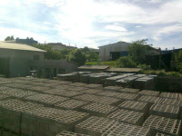 Fotos Institucionais